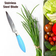 2295 Durable Serrated Vegetable/Meat Cutting Knife DeoDap