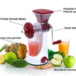 168 Manual Fruit Vegetable Juicer with Juice Cup and Waste Collector DeoDap