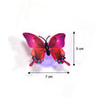 6497 BUTTERFLY 3D NIGHT LAMP COMES WITH 3D ILLUSION DESIGN SUITABLE FOR DRAWING ROOM, LOBBY. (Pack Of 50) DeoDap