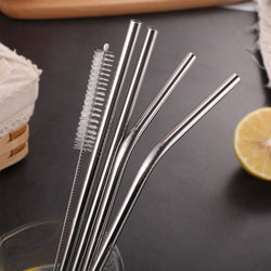 579 Set of 4 Stainless Steel Straws & Brush (2 Straight straws, 2 Bent straws, 1 Brush) DeoDap