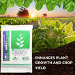 1285 Organic Bio Fungicide for Seeds and Young Plants (500gm) DeoDap