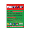 204 Green Mice Glue Traps (1pc) DeoDap