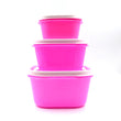 2029 3 Pc Multi-Purpose Container used in all kinds of household and official purposes for storing food and stuffs etc. DeoDap