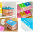 2315A Double Layer 24 Grid Egg Storage Box for Egg Storage Container DeoDap