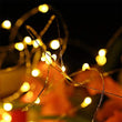 6437 20 LED Wine Bottle Cork Lights Copper Wire String Lights, Battery Powered/ Wine Bottle Fairy Lights Bottle DeoDap