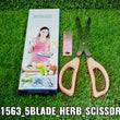 1563 Multifunction Vegetable Stainless Steel Herbs Scissor with 5 Blades DeoDap