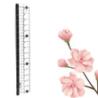 7921  TRANSPARENT RULER, PLASTIC RULERS, FOR SCHOOL CLASSROOM, HOME, OR OFFICE (15 Cm)