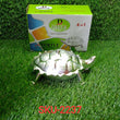 2237 Multipurpose Tortoise Shape Dry Fruit/ Gift Box DeoDap